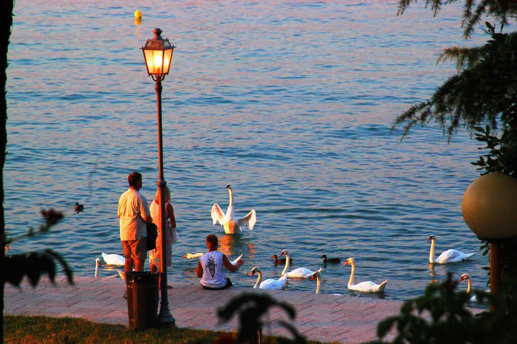 Camping Bella Italia Peschiera del Garda Esterno foto